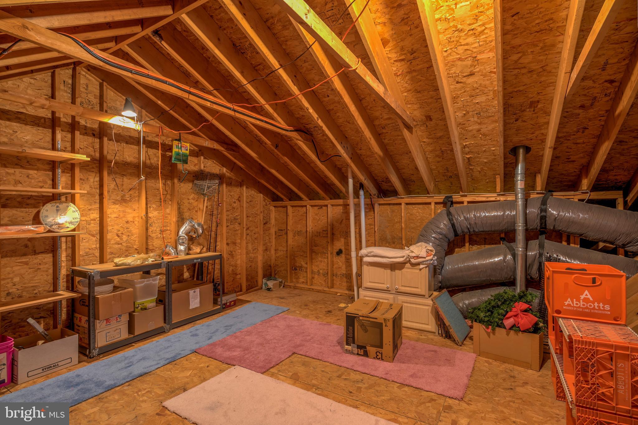 57 Sandyhook Road Ocean Pines, MD 21811 - Photo 43 of 52 Walk in attic storage
