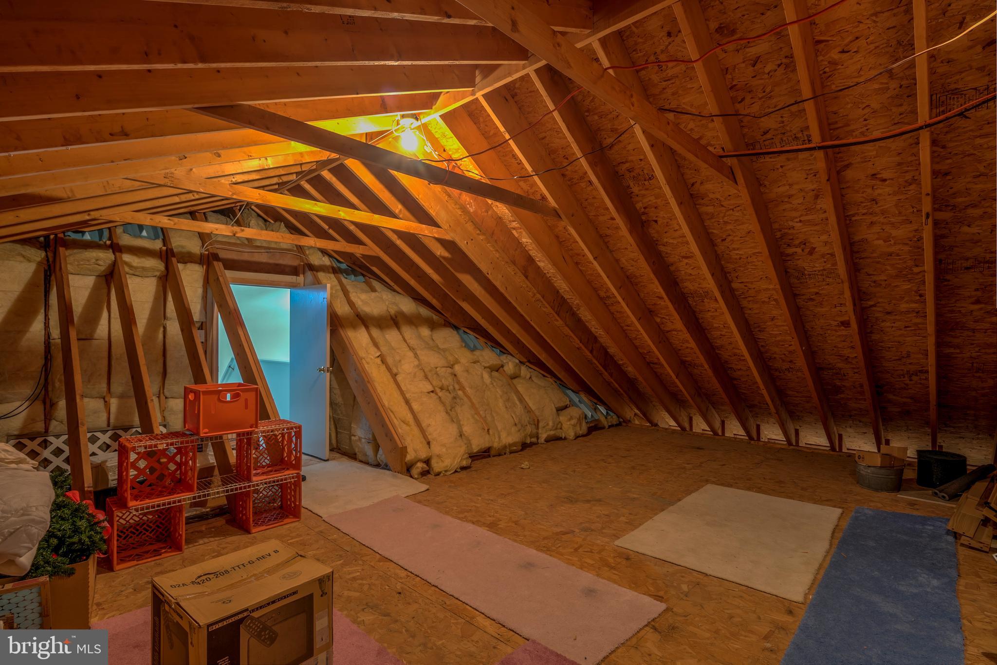 57 Sandyhook Road Ocean Pines, MD 21811 - Photo 44 of 52 View 2 walk in attic storage