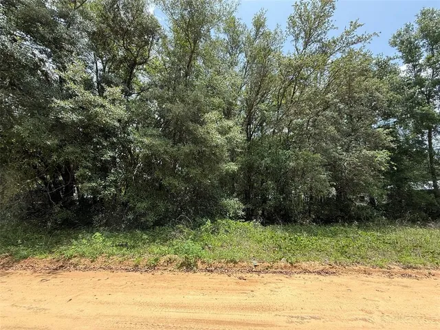 a view of backyard with green space