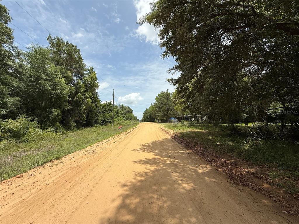 604 Kitty Interlachen, FL 32148 - Photo 3 of 13 a view of a yard
