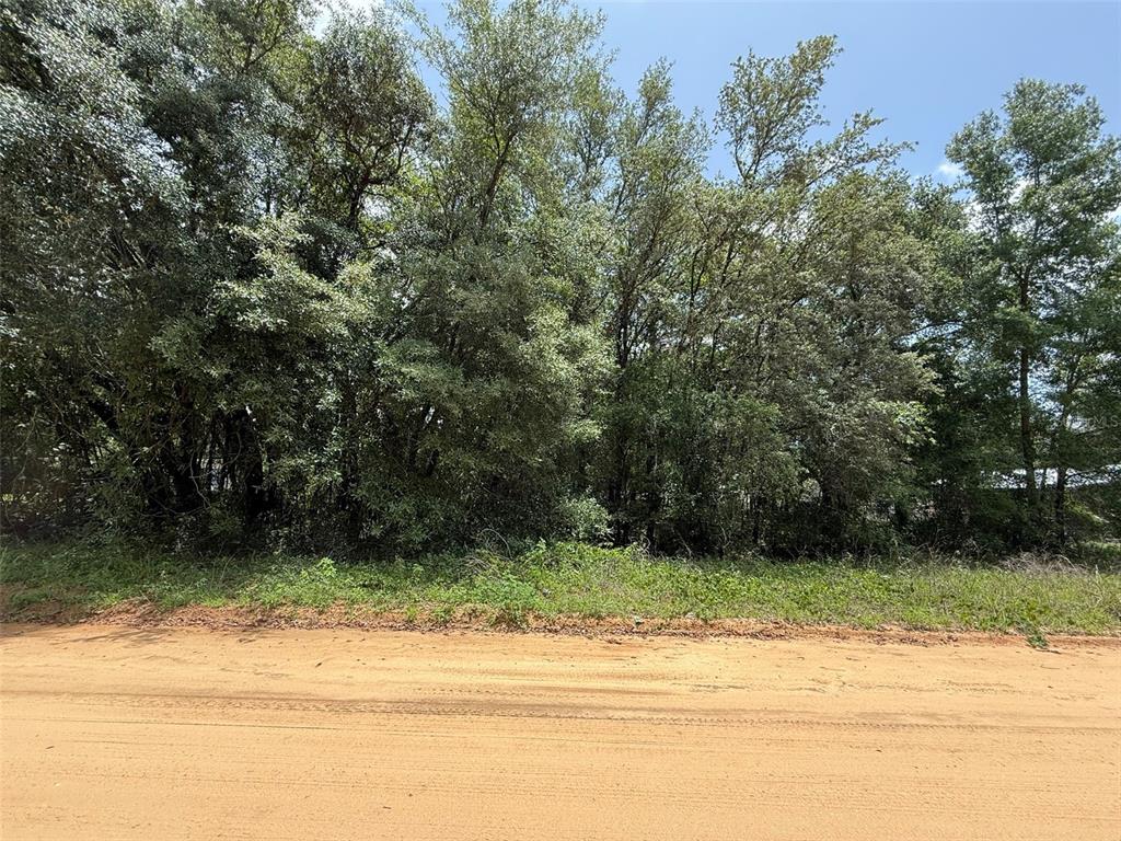 604 Kitty Interlachen, FL 32148 - Photo 5 of 13 a view of a yard