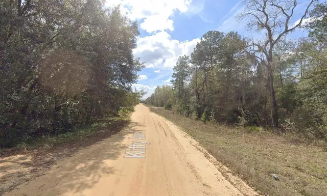 a view of a pathway both side of yard
