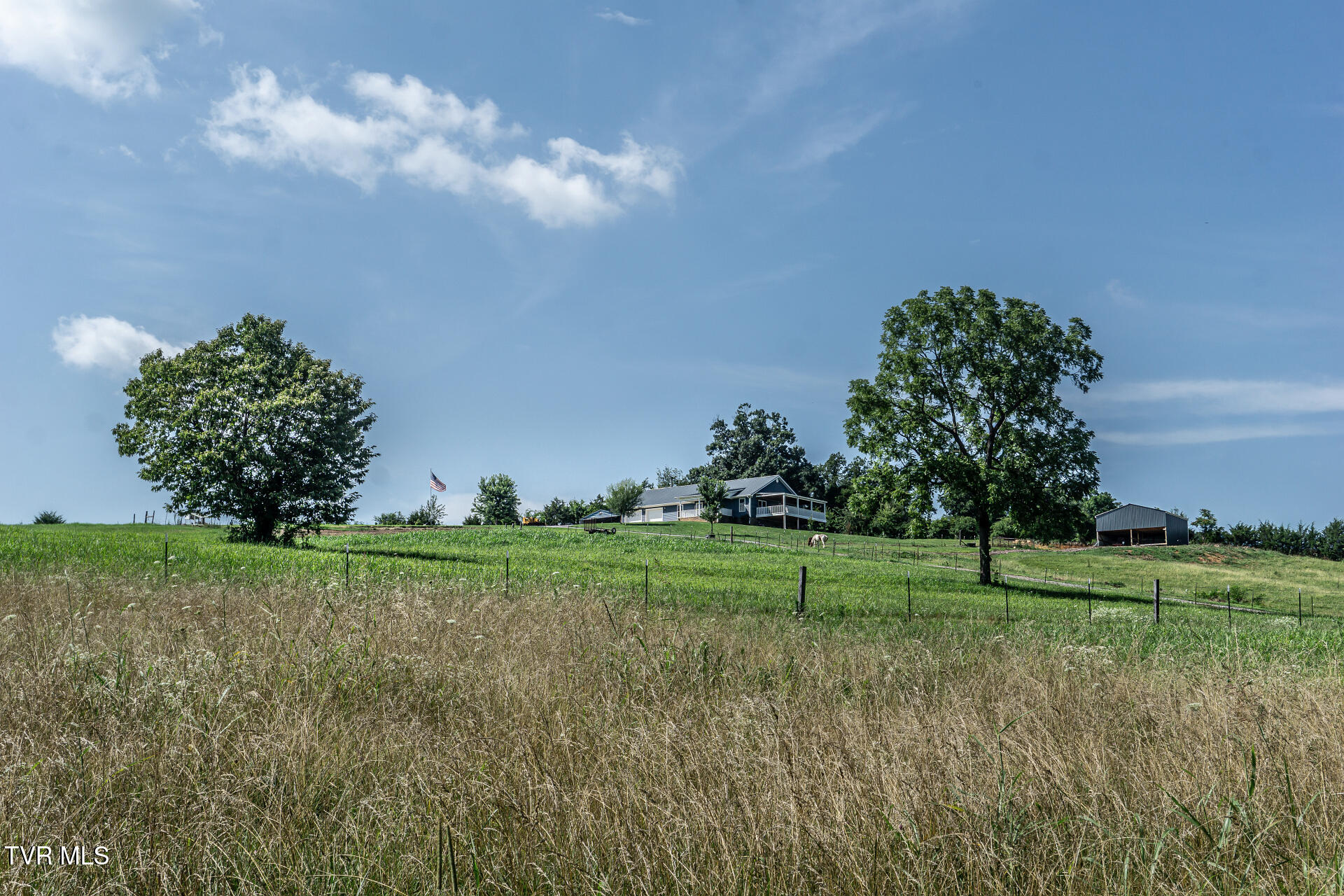 255 Jeffers Lane Limestone, TN 37681 - Photo 64 of 70 255JeffersLnL_059