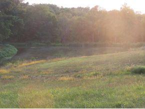 4919 Downey Ridge Road Dillsboro, IN 47018 - Photo 7 of 8