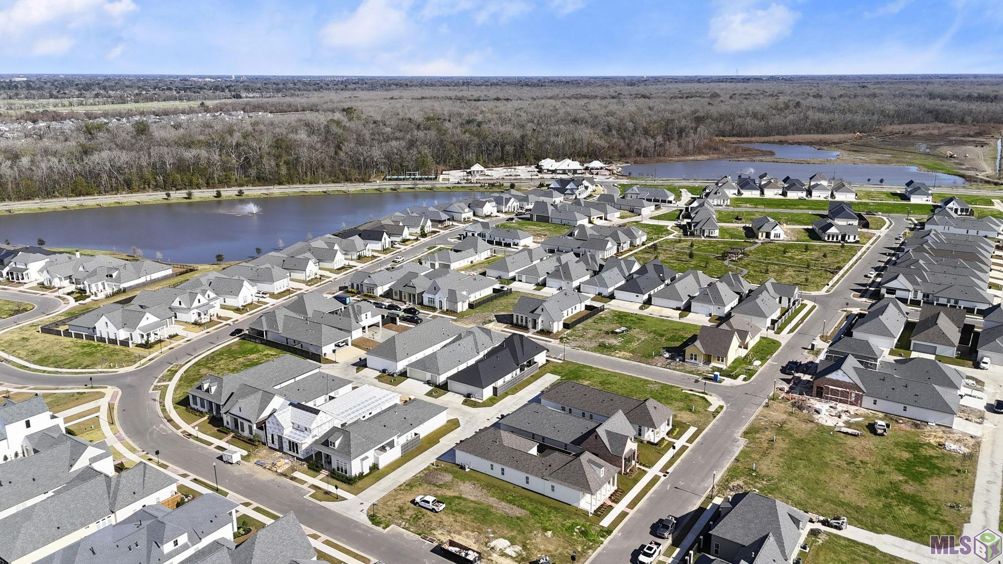 13733 Sweet Cherry Drive Baton Rouge, LA 70810 - Photo 48 of 49