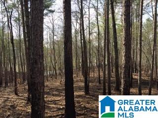 Pioneer Way, Unit 2 Sterrett, AL 35147 - Photo 17 of 24