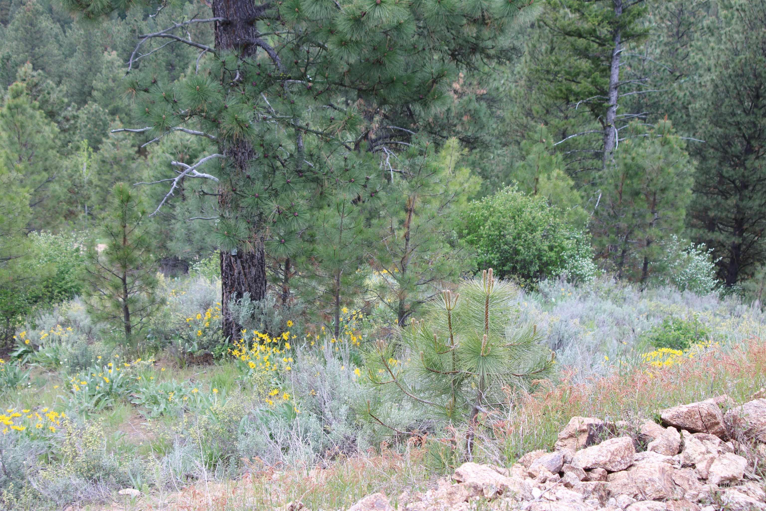 Tbd Strawberry Loop Mountain Home, ID 83647 - Photo 15 of 20