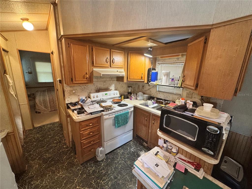 17528 Coyote Road Hudson, FL 34667 - Photo 33 of 60