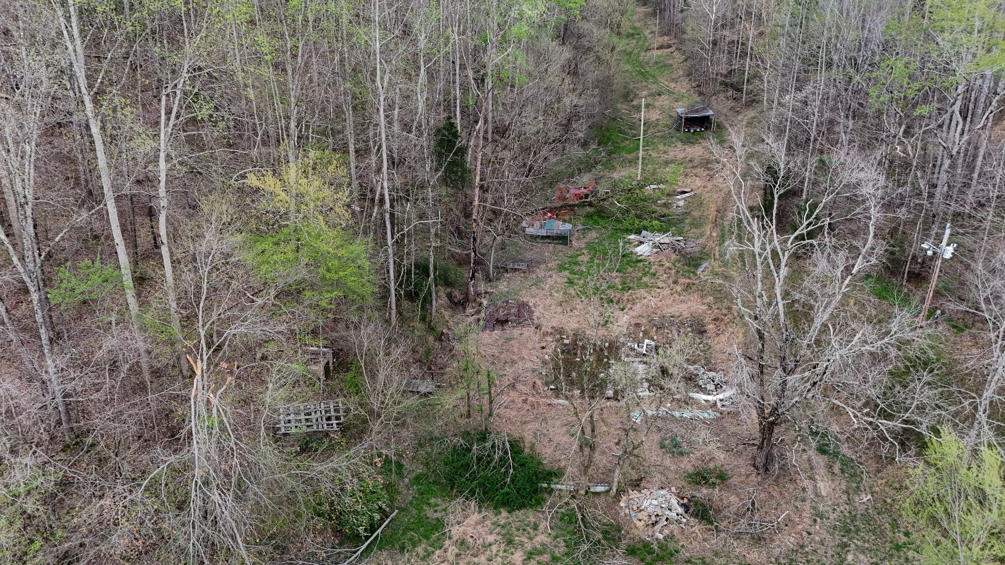 1755 Williams Road Centerville, TN 37033 - Photo 11 of 24 a view of a forest that has a tree