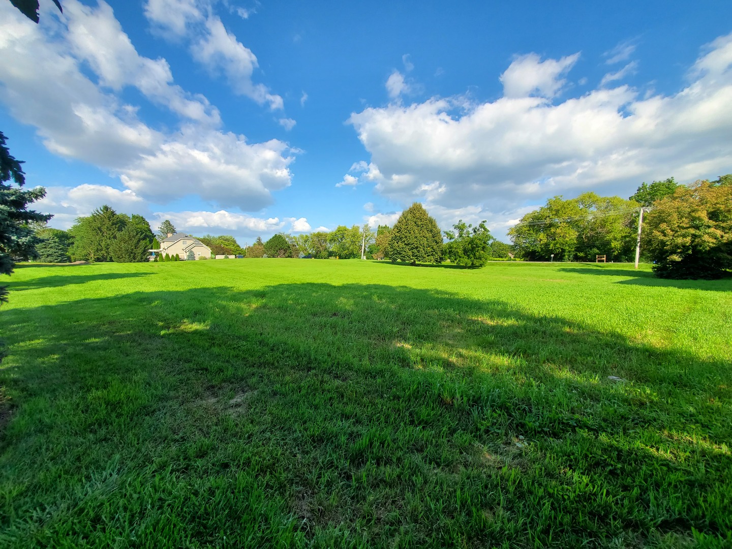a view of a big yard with lots of green space