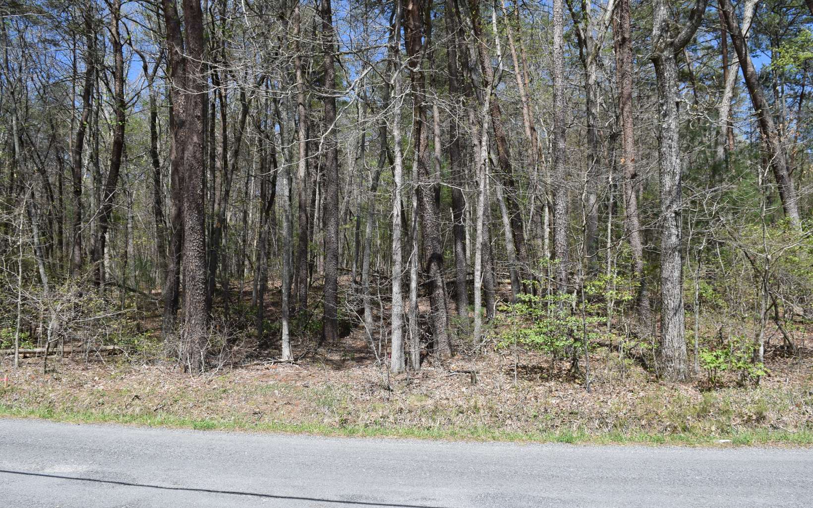 4.38 A Tickanetley Road Ellijay, GA 30536 - Photo 3 of 4 Additional View