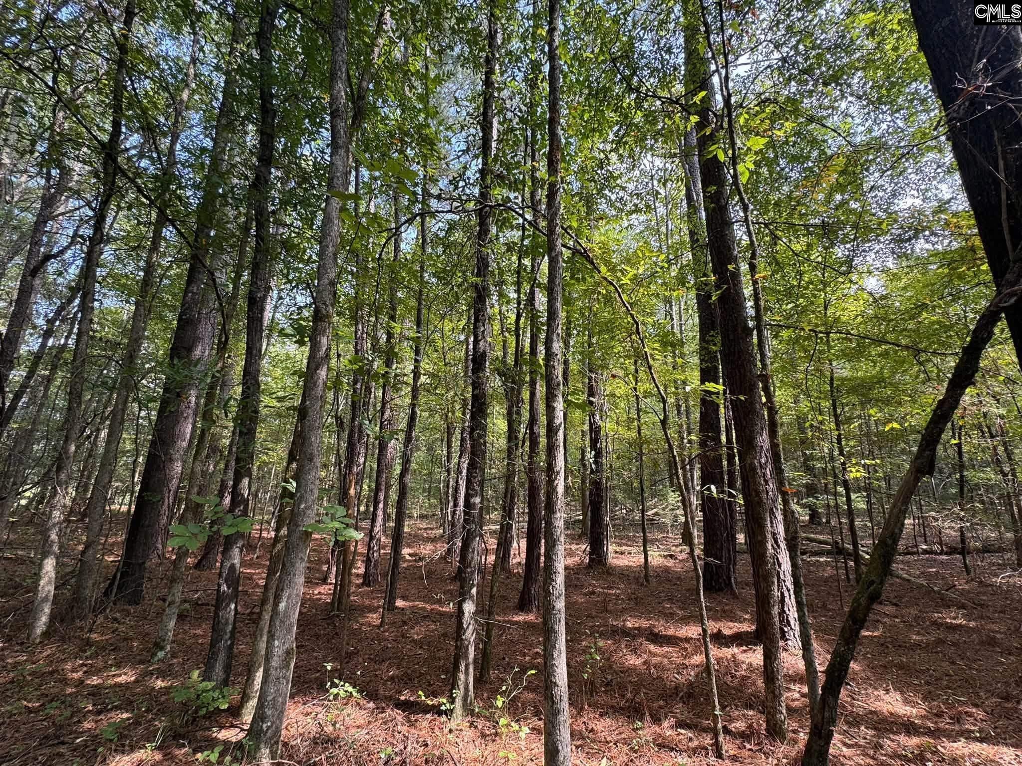 Pencreek Road Johnston, SC 29832 - Photo 38 of 59 Gallery Image 38