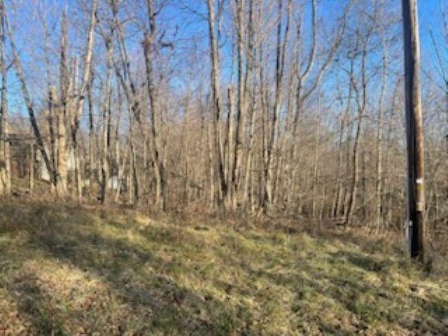 14568 Monroe Mills Road, Unit 263 Howard, OH 43028 - Photo 3 of 10 3