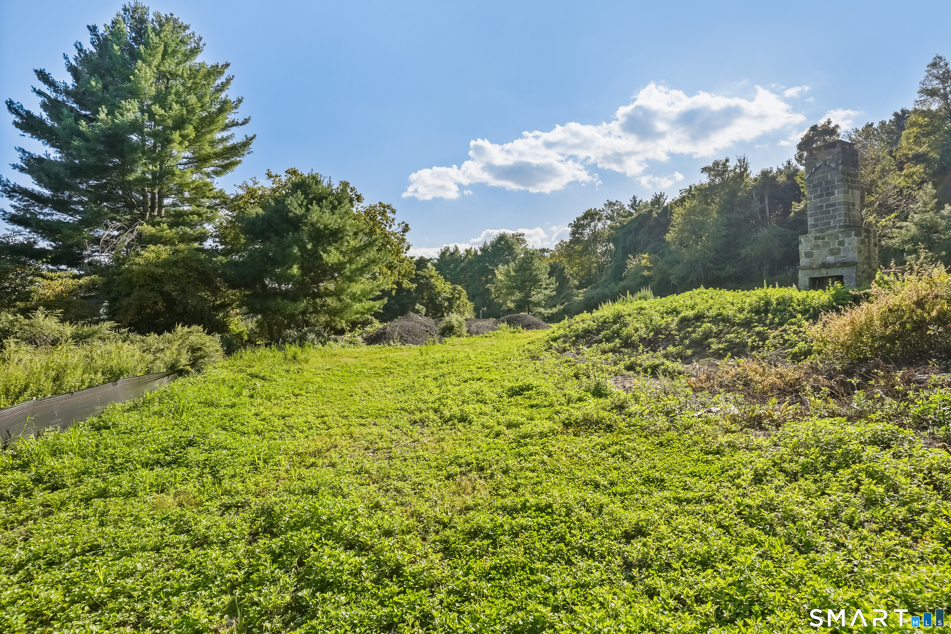 96 Georgetown Road Weston, CT 06883 - Photo 9 of 18 a view of a garden