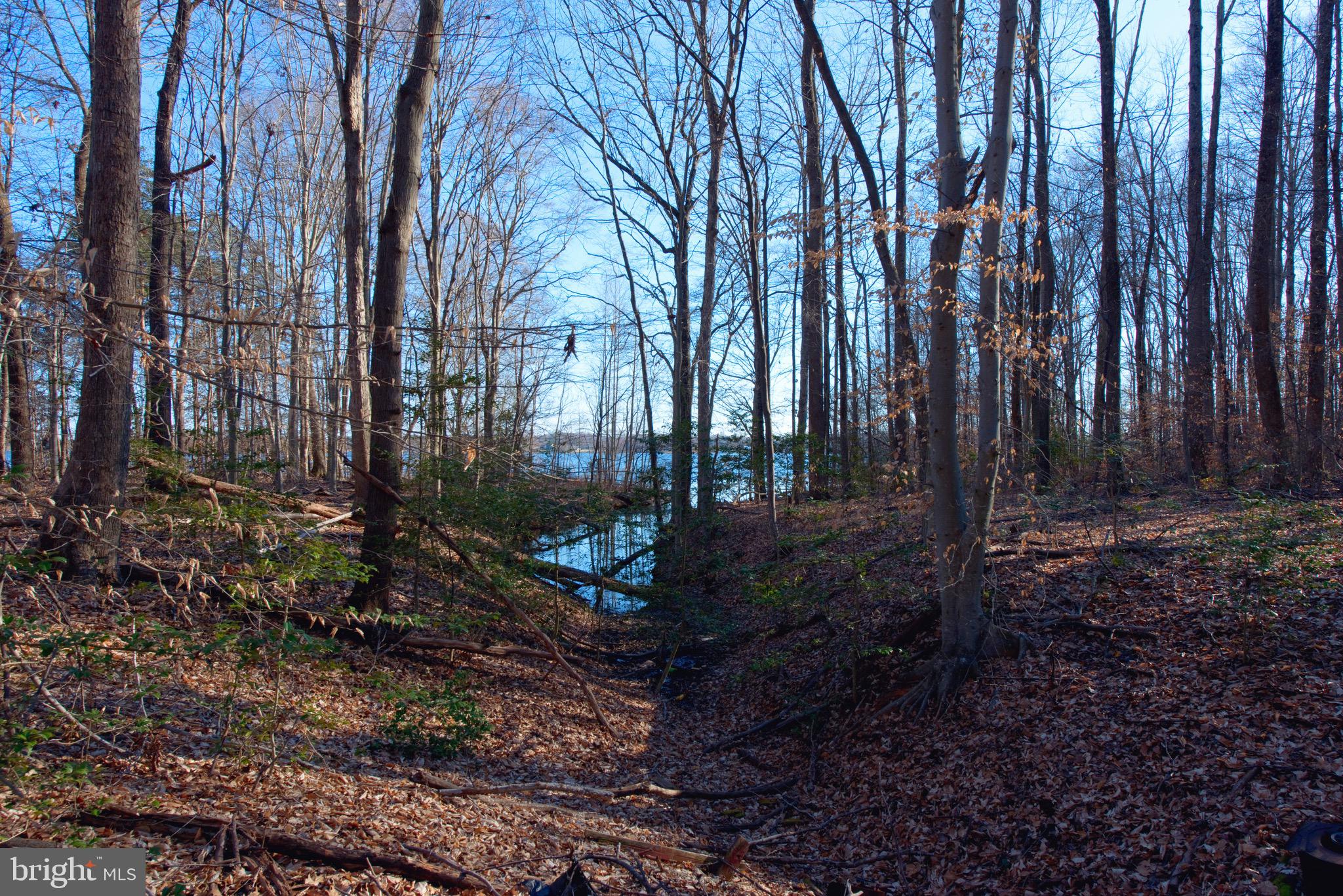 3519 Breaknock Road Bumpass, VA 23024 - Photo 48 of 55 Gallery Image 48