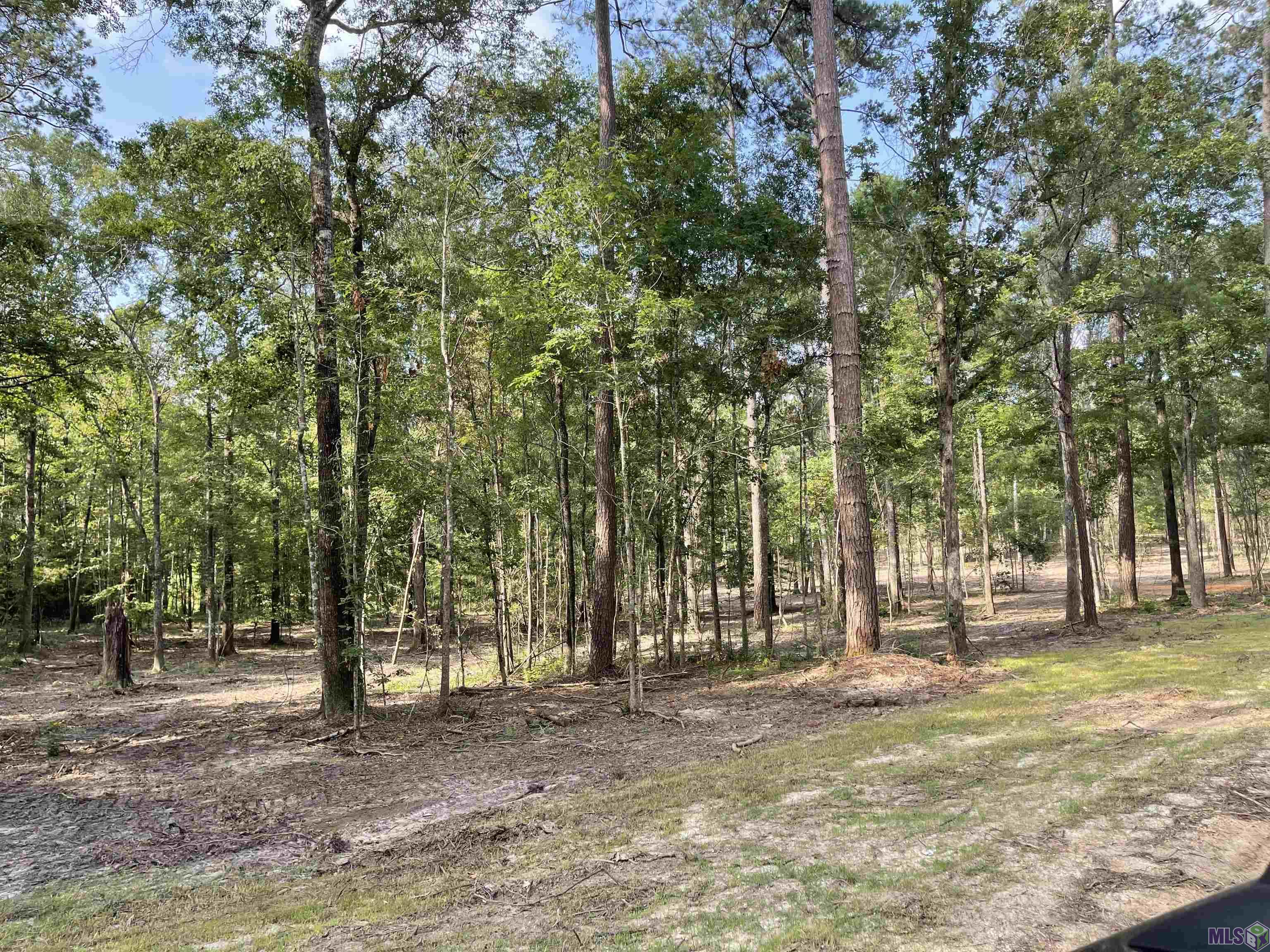 8177 Hepzibah Road Clinton, LA 70722 - Photo 3 of 4