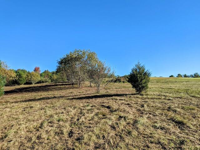 Tbd Smith Farm Road Northeast Check, VA 24072 - Photo 2 of 8 PXL_20241009_134031646~2