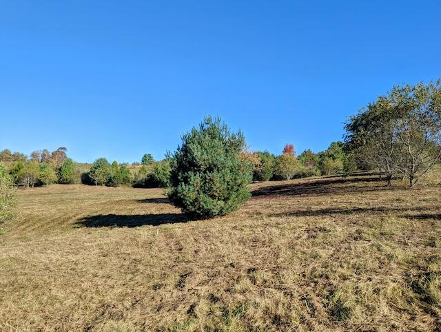 Tbd Smith Farm Road Northeast Check, VA 24072 - Photo 3 of 8 PXL_20241009_134038288~2