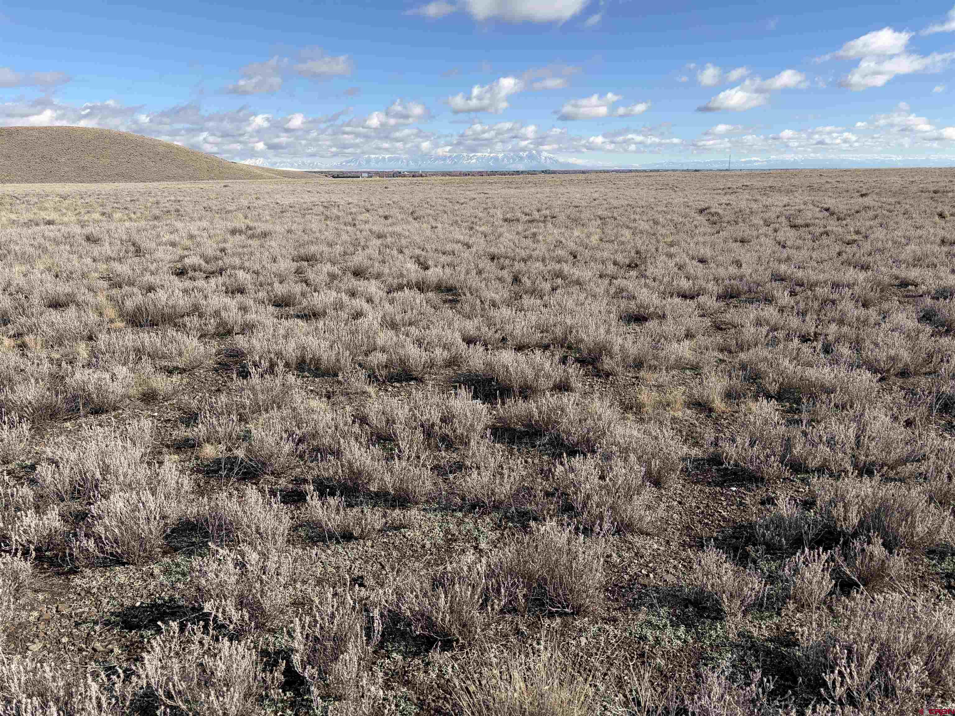 Nw Lariat Road Monte Vista, CO 81144 - Photo 3 of 5 a view of a room with a dry yard