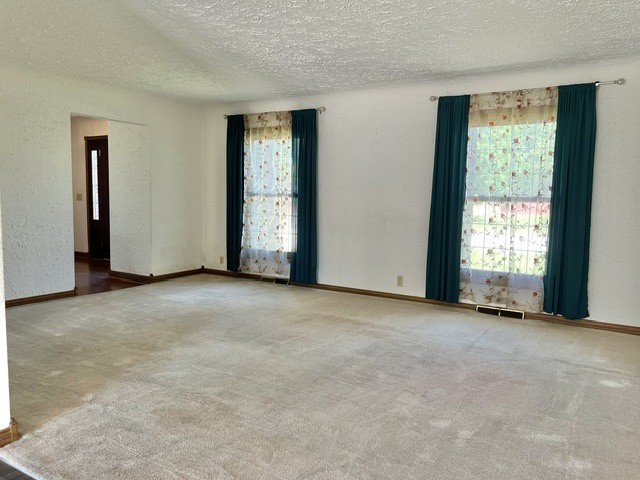 107 Hilltop Street Colona, IL 61241 - Photo 6 of 39
