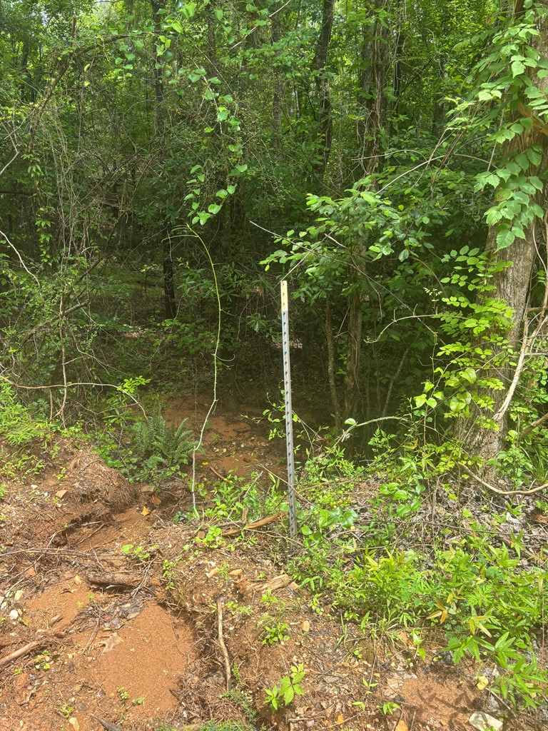 631 Lee Road 0889 Salem, AL 36874 - Photo 7 of 13 a garden view