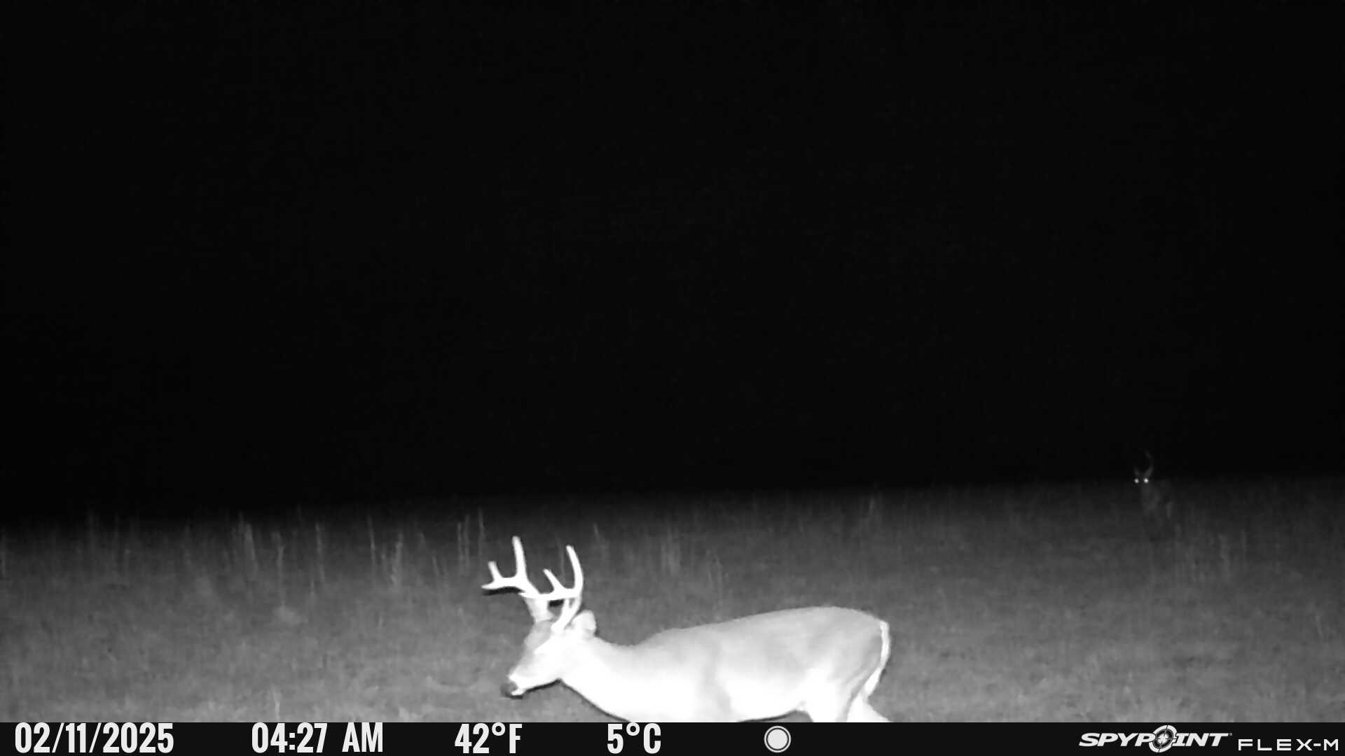 0 Factory Creek Road Waynesboro, TN 38485 - Photo 11 of 49 a view of outdoor space and yard