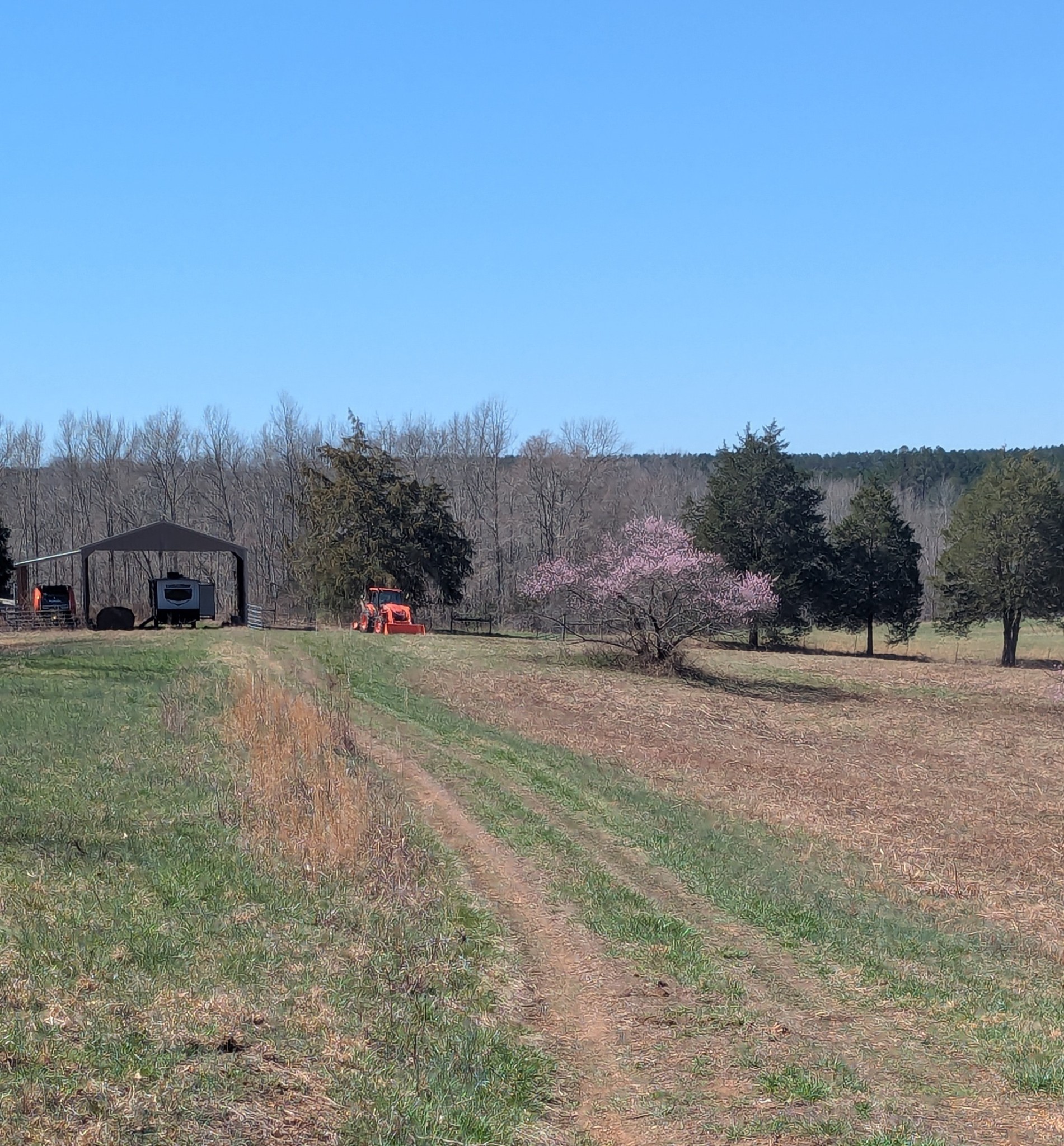 0 Factory Creek Road Waynesboro, TN 38485 - Photo 12 of 49 a view of an outdoor space