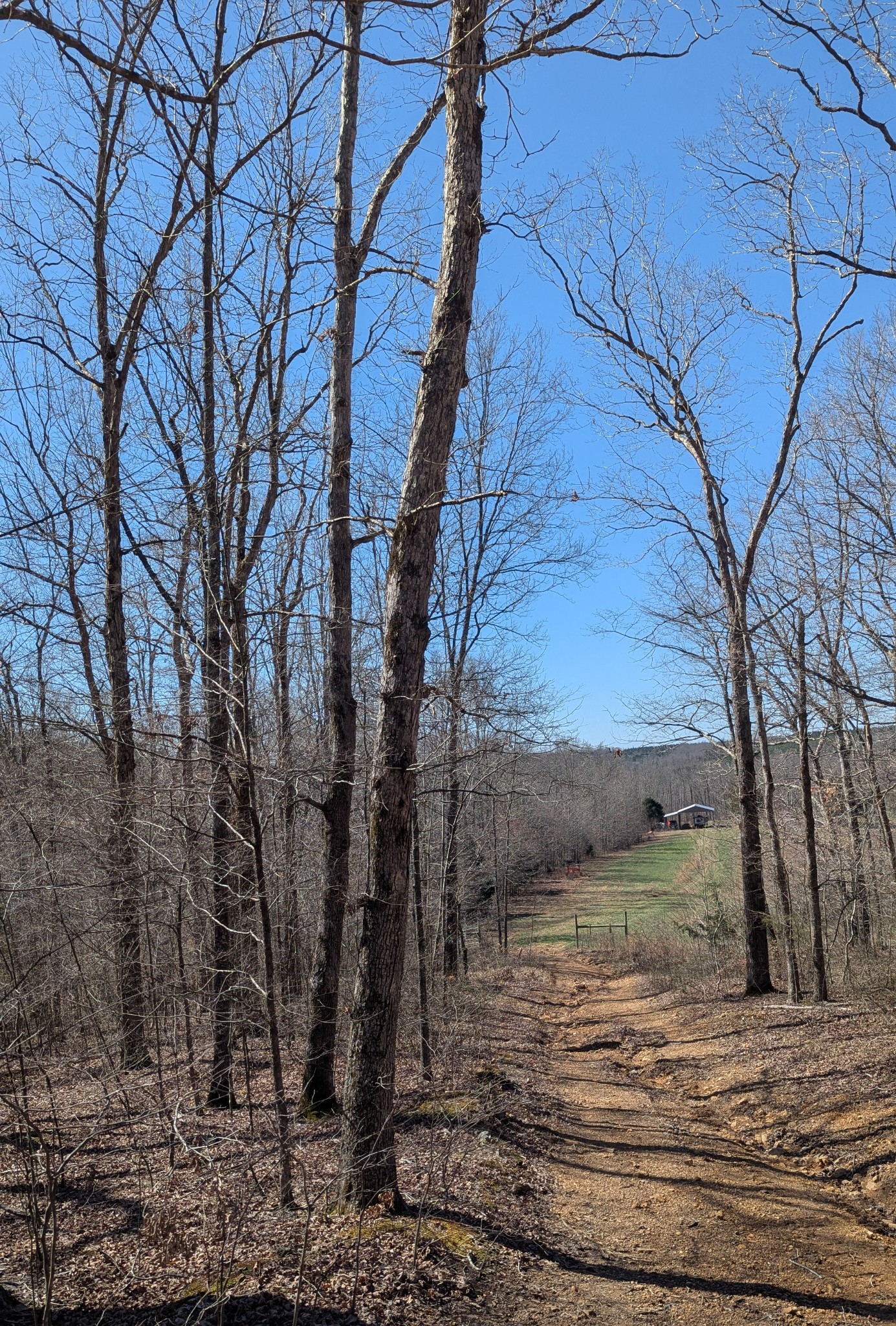 0 Factory Creek Road Waynesboro, TN 38485 - Photo 17 of 49 a view of a yard with wooden fence