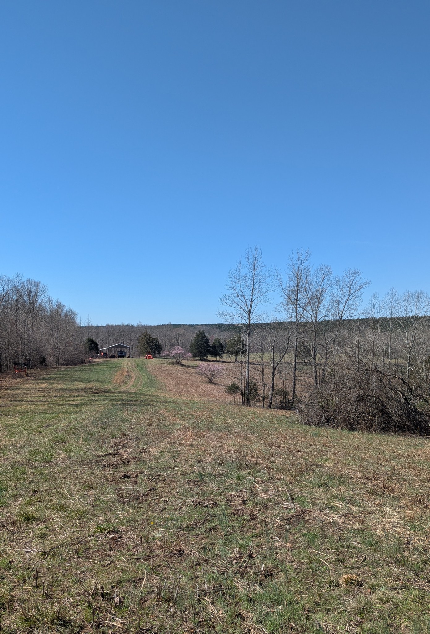 0 Factory Creek Road Waynesboro, TN 38485 - Photo 18 of 49 a view of a yard