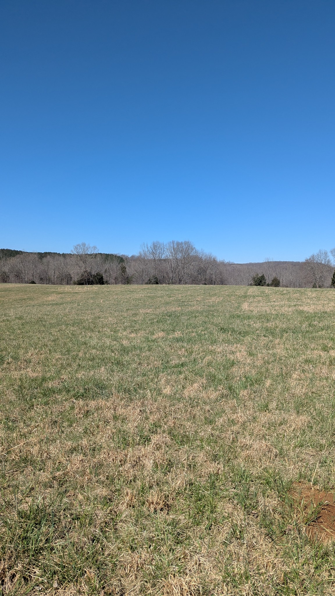 0 Factory Creek Road Waynesboro, TN 38485 - Photo 21 of 49