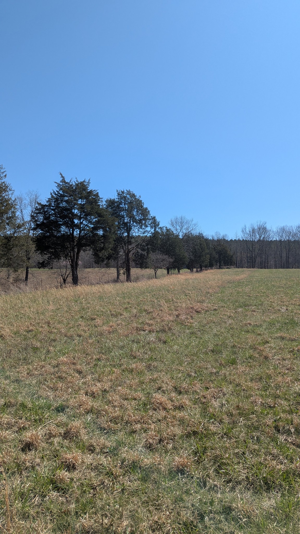 0 Factory Creek Road Waynesboro, TN 38485 - Photo 22 of 49