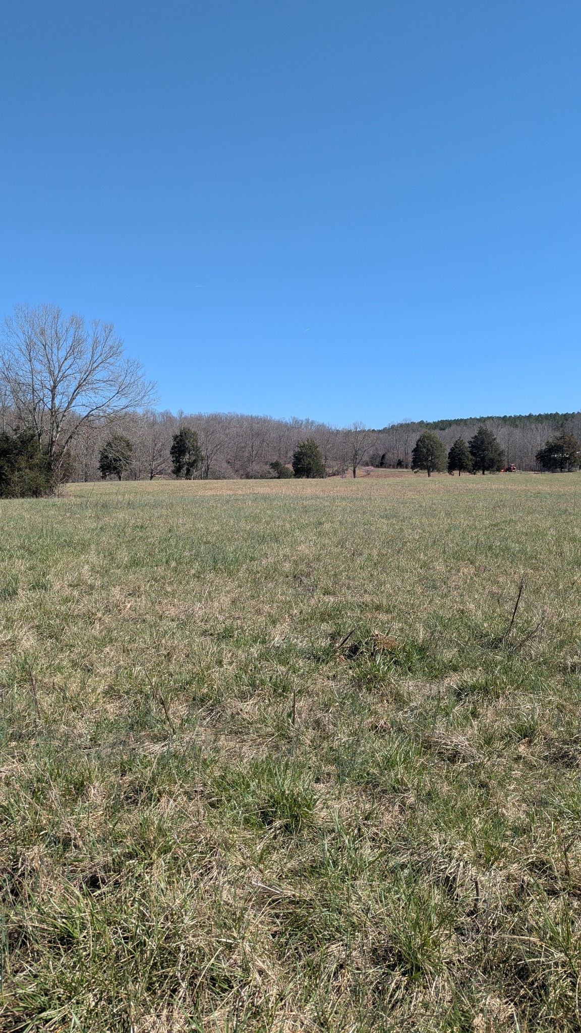 0 Factory Creek Road Waynesboro, TN 38485 - Photo 23 of 49 a view of an ocean and beach