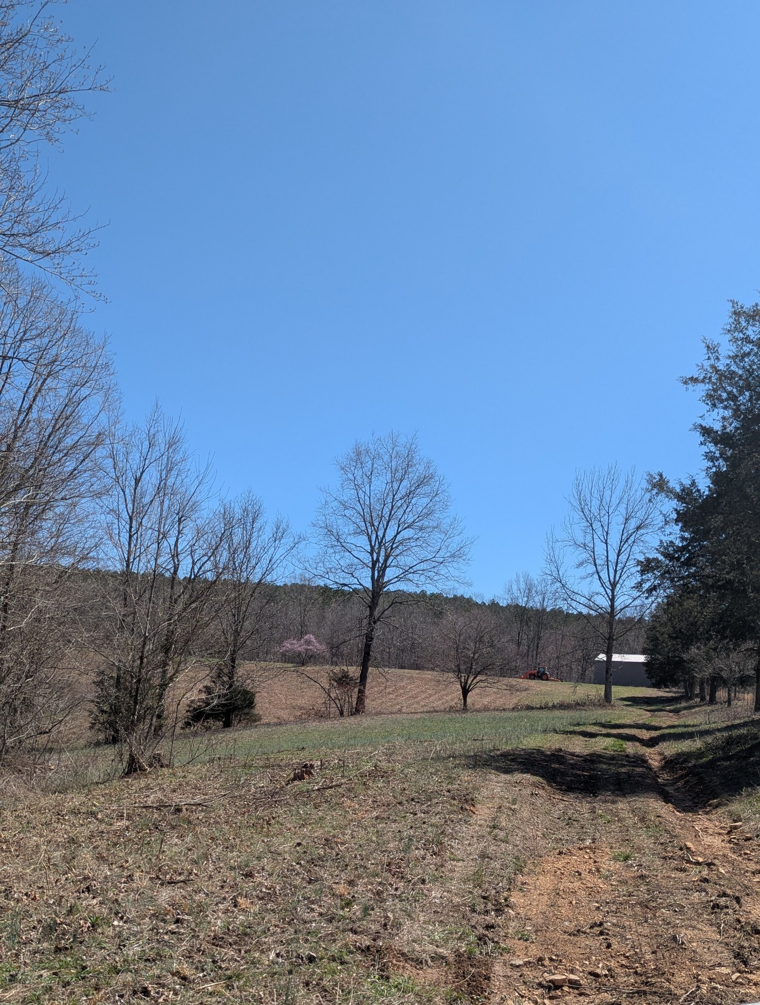 0 Factory Creek Road Waynesboro, TN 38485 - Photo 25 of 49 a view of a yard