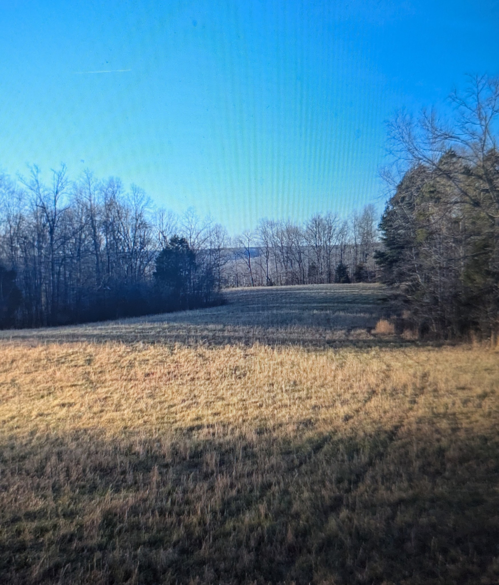 0 Factory Creek Road Waynesboro, TN 38485 - Photo 29 of 49 a view of backyard and trees