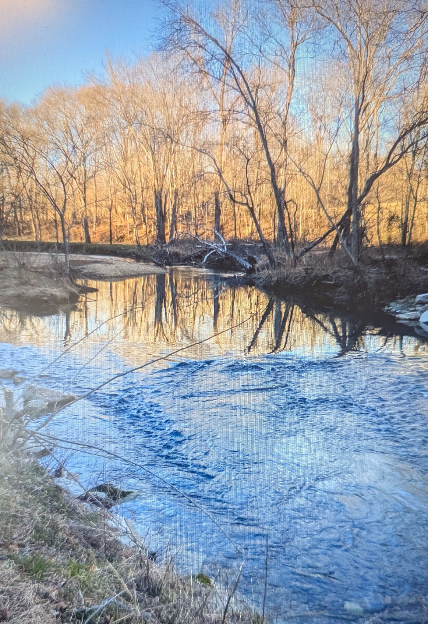 0 Factory Creek Road Waynesboro, TN 38485 - Photo 30 of 49 a view of swimming pool with a yard