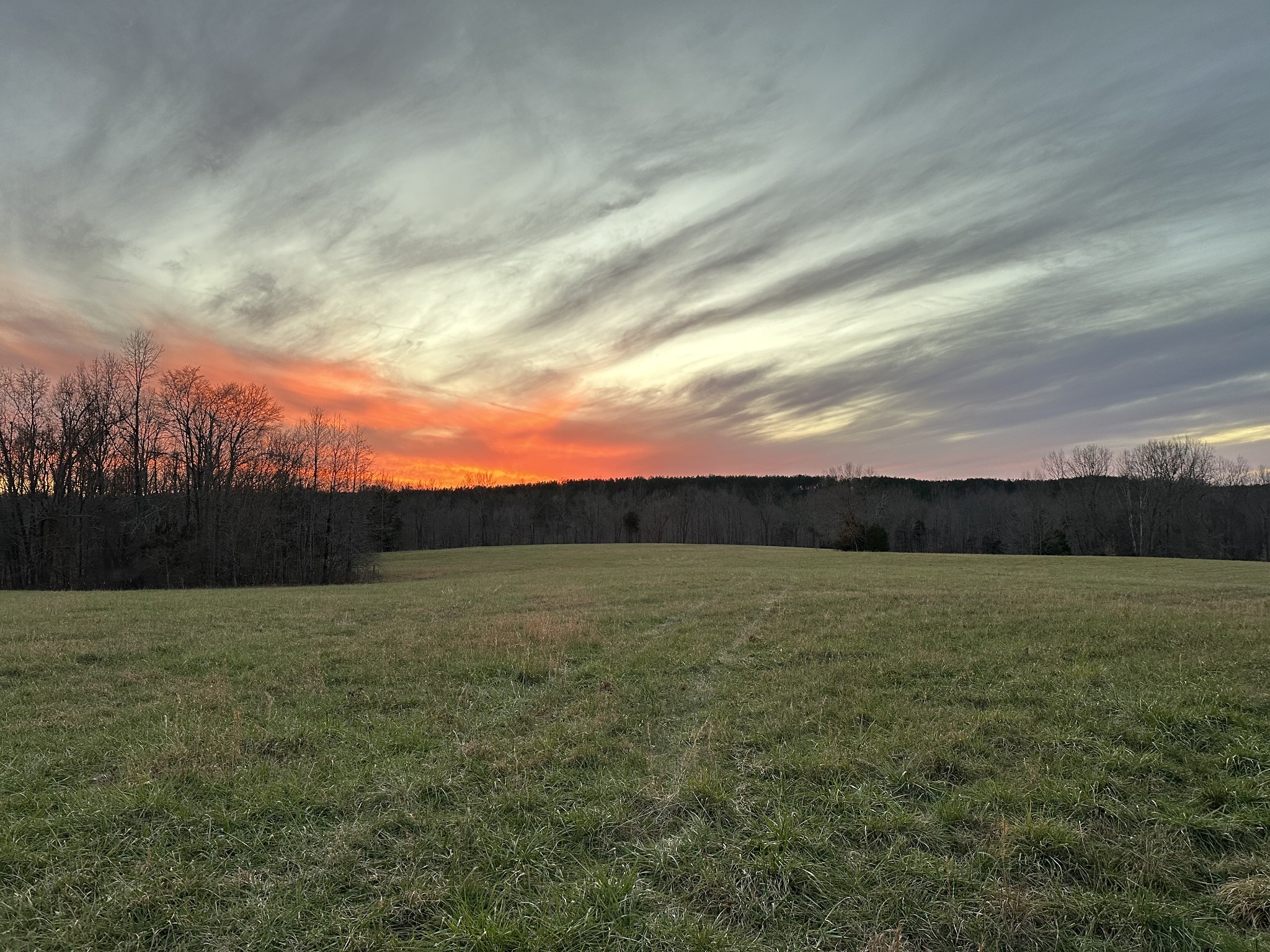 0 Factory Creek Road Waynesboro, TN 38485 - Photo 3 of 49 a view of an outdoor space and a yard