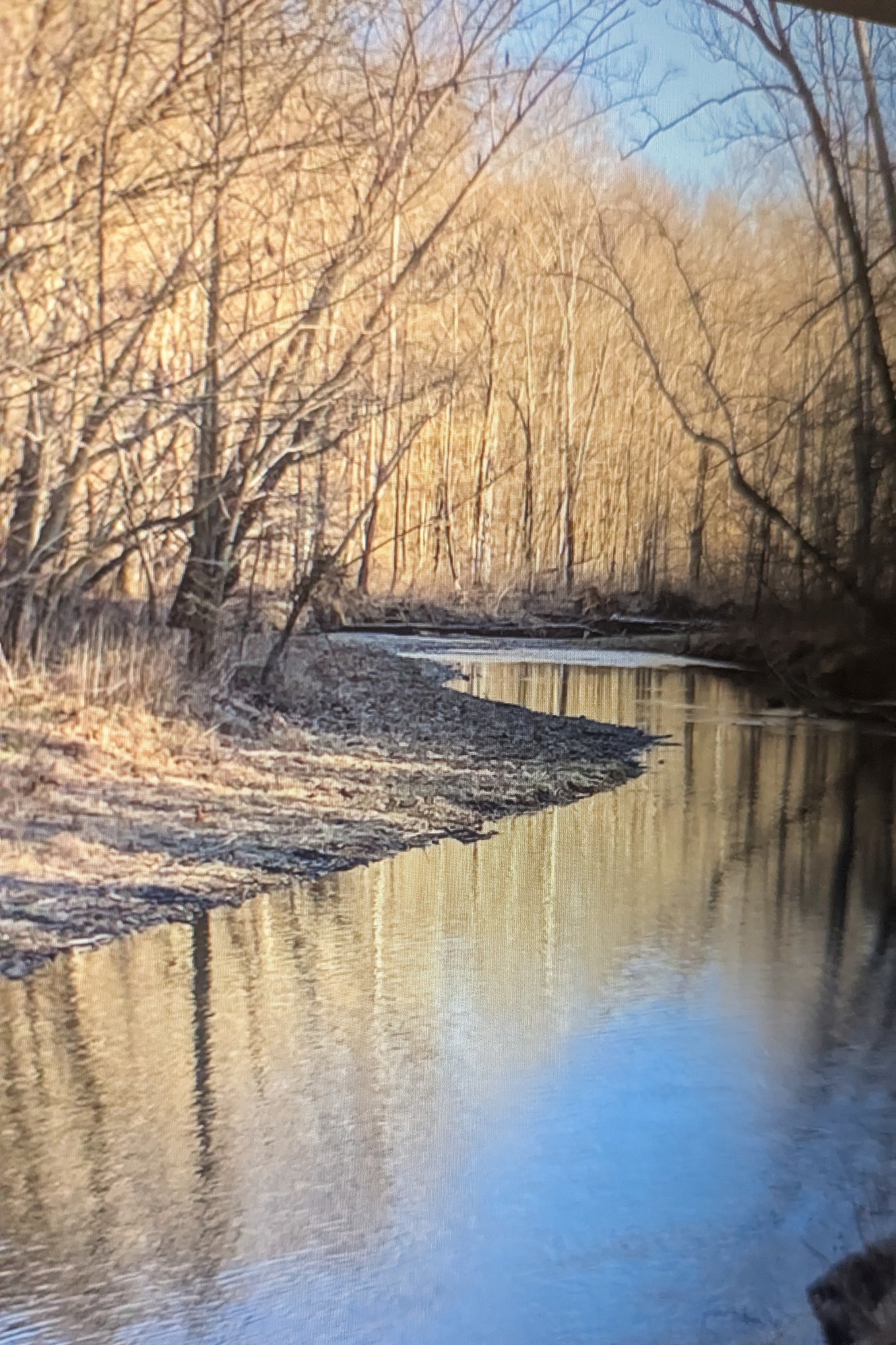 0 Factory Creek Road Waynesboro, TN 38485 - Photo 31 of 49 a view of a lake with trees in the background