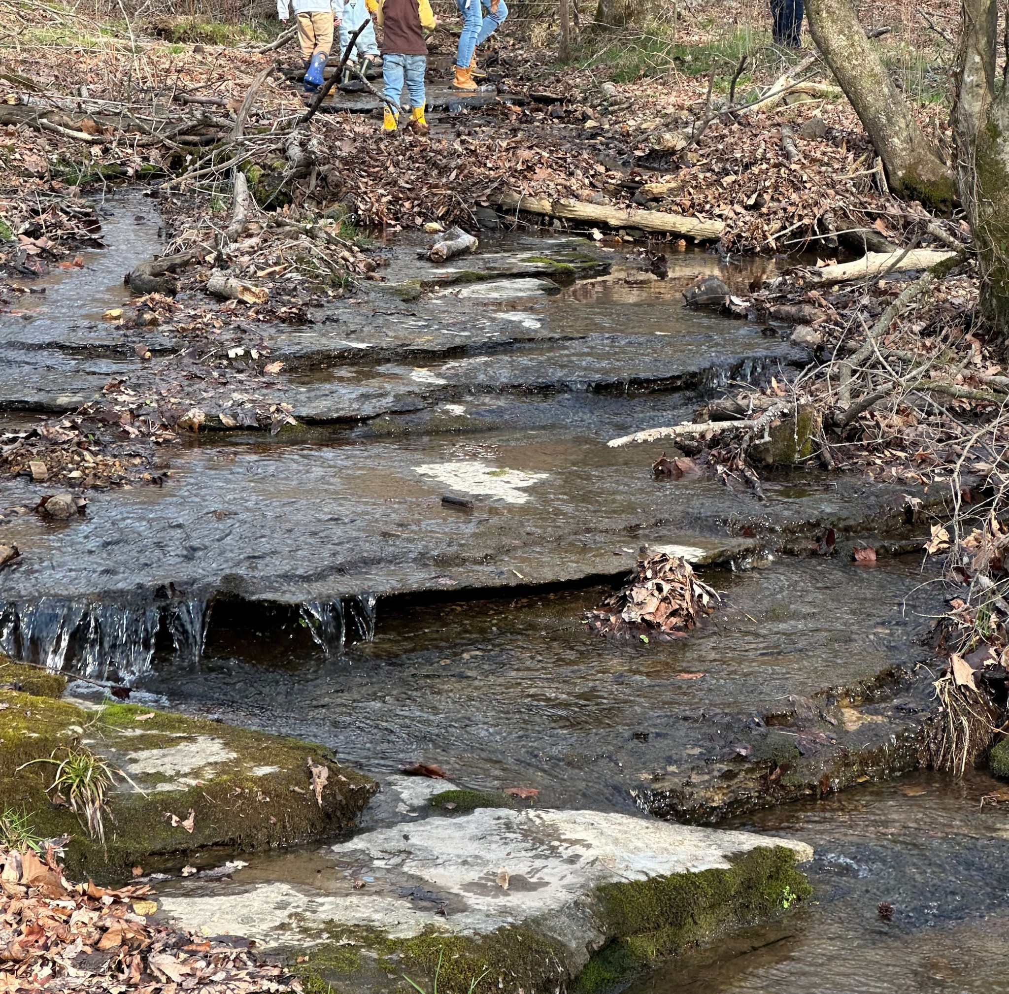 0 Factory Creek Road Waynesboro, TN 38485 - Photo 33 of 49