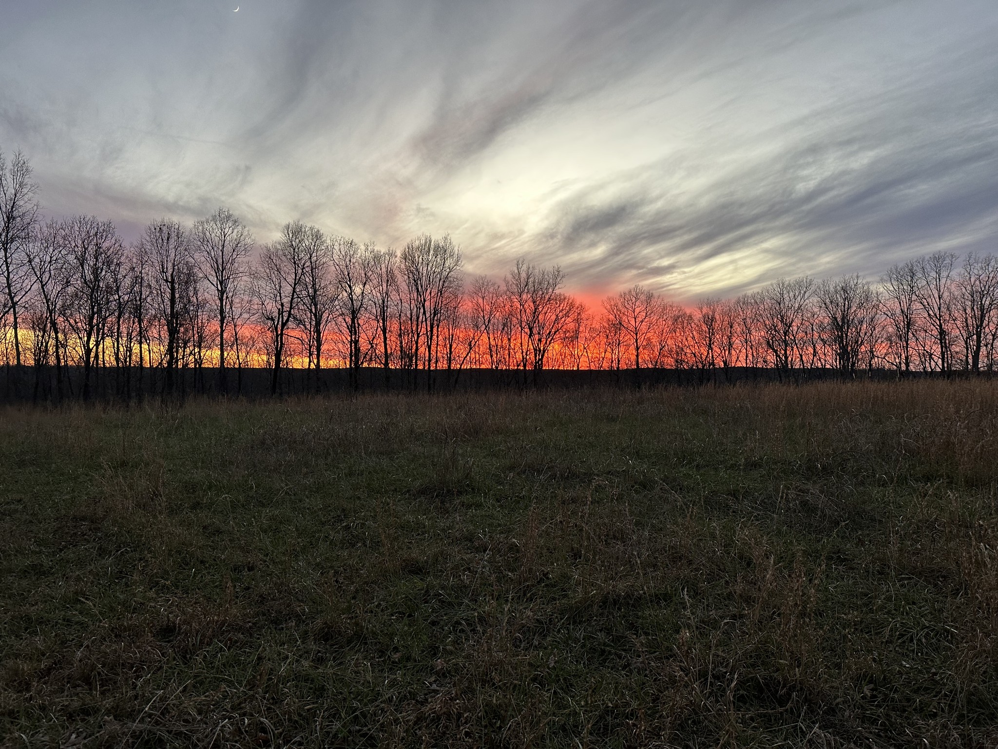 0 Factory Creek Road Waynesboro, TN 38485 - Photo 4 of 49 a view of outdoor space with green space