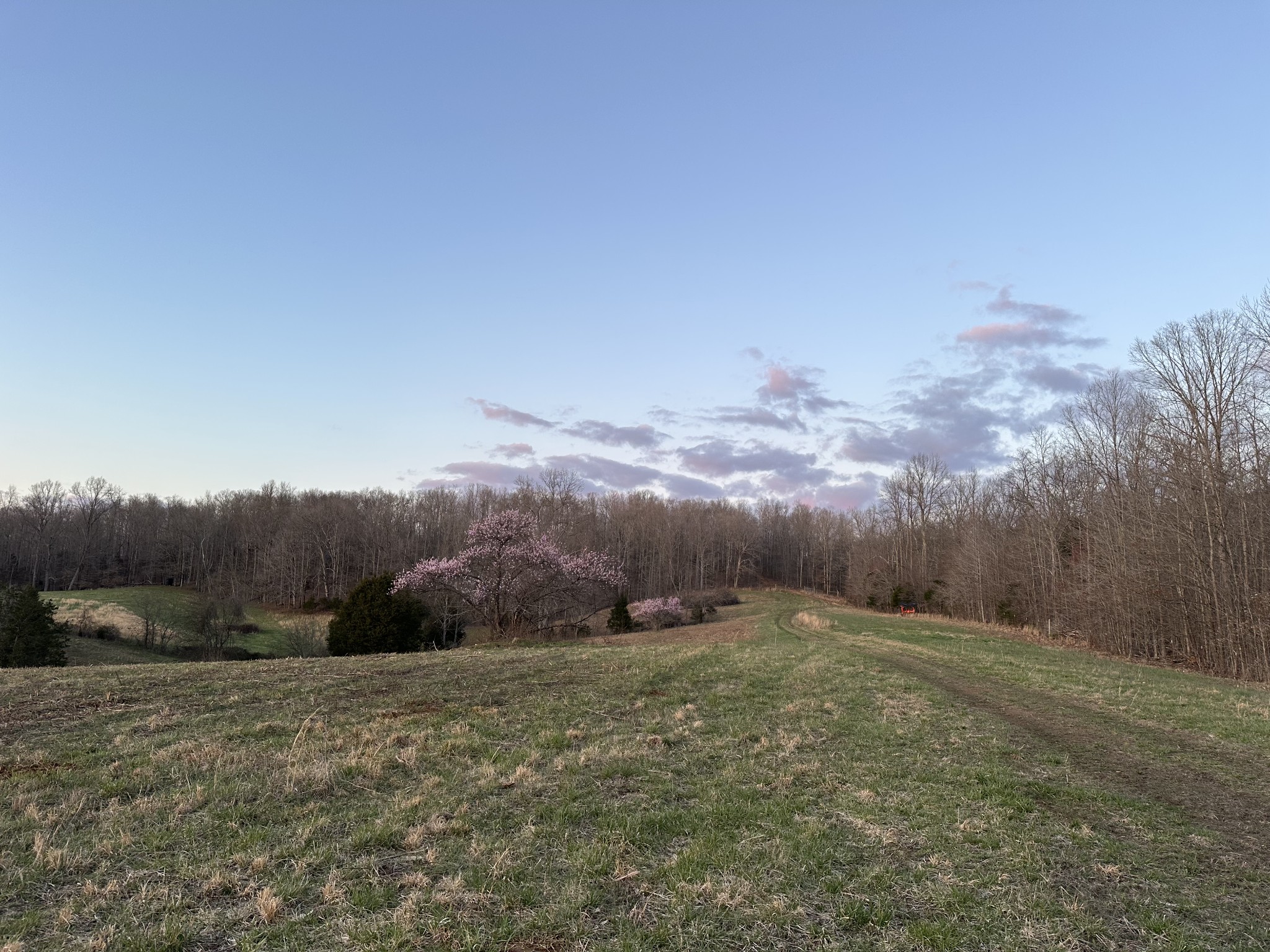 0 Factory Creek Road Waynesboro, TN 38485 - Photo 7 of 49 a view of a field
