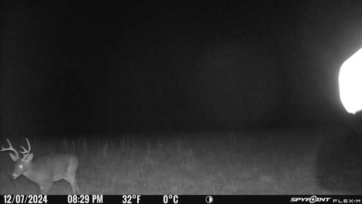 0 Factory Creek Road Waynesboro, TN 38485 - Photo 8 of 49