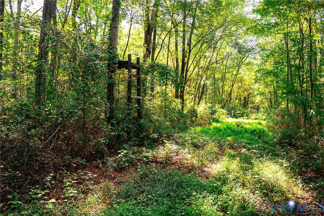 663.8-acres Peach Road Chesapeake, VA 23321 - Photo 5 of 48 Gallery Image 5