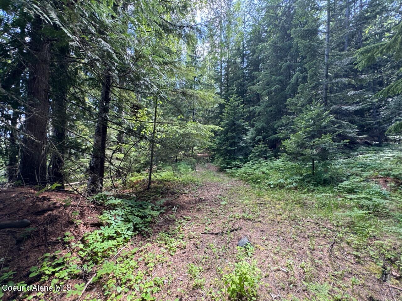 Nna Rolling Thunder Ridge Road Sandpoint, ID 83864 - Photo 26 of 37 .