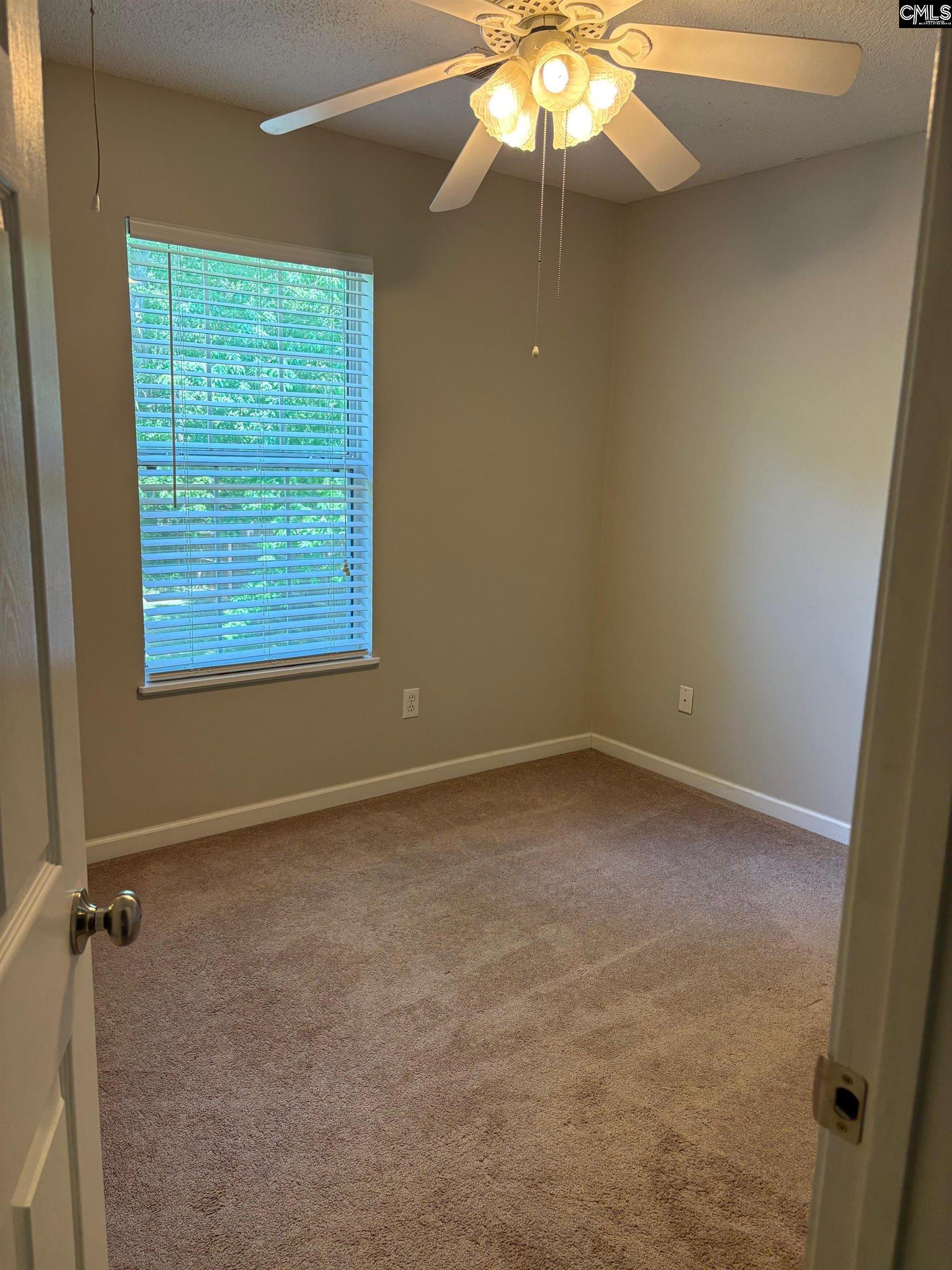 321 Concord Pl Road Irmo, SC 29063 - Photo 20 of 25