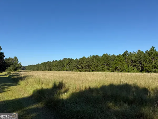 $195,000 | 0 Sunbury Road, Unit TRACT 4, Claxton, GA 30417
