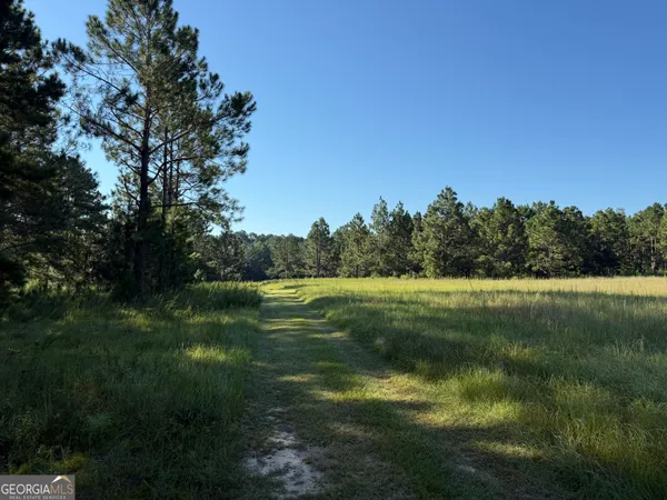 $195,000 | 0 Sunbury Road, Unit TRACT 4, Claxton, GA 30417