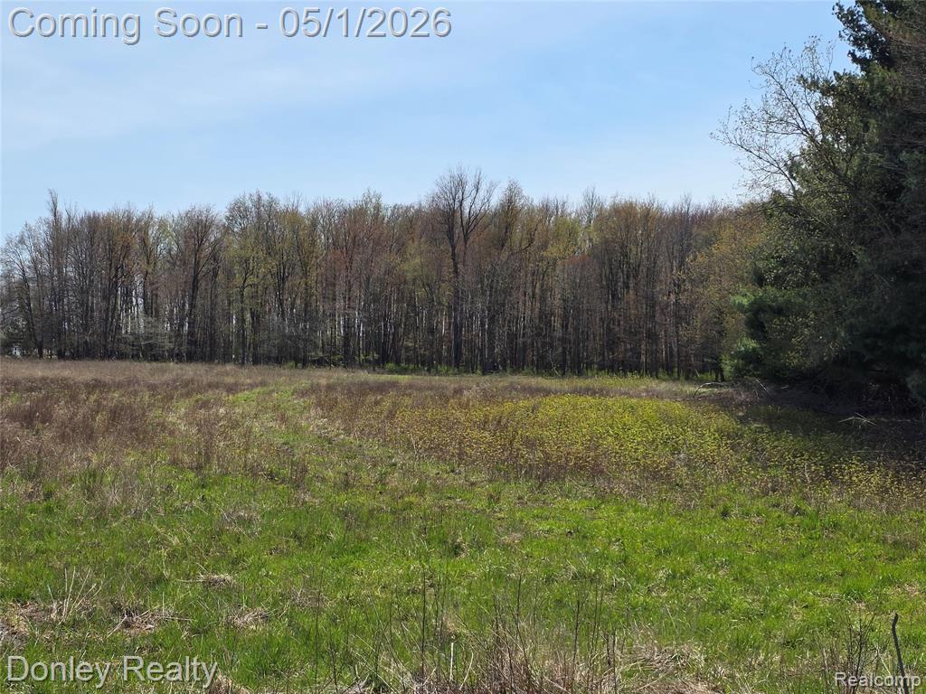 V/l Hyde Road Carsonville, MI 48419 - Photo 1 of 5