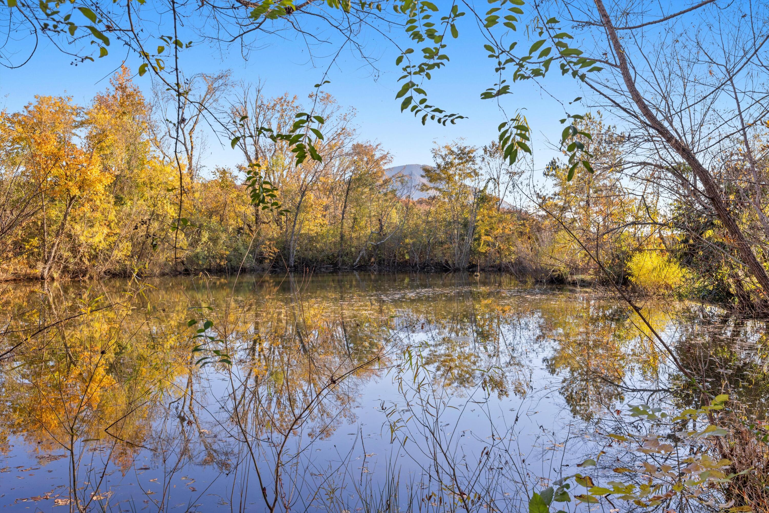 515 Crandall Ellijay Road Chatsworth, GA 30705 - Photo 21 of 21 22-IMG_8122