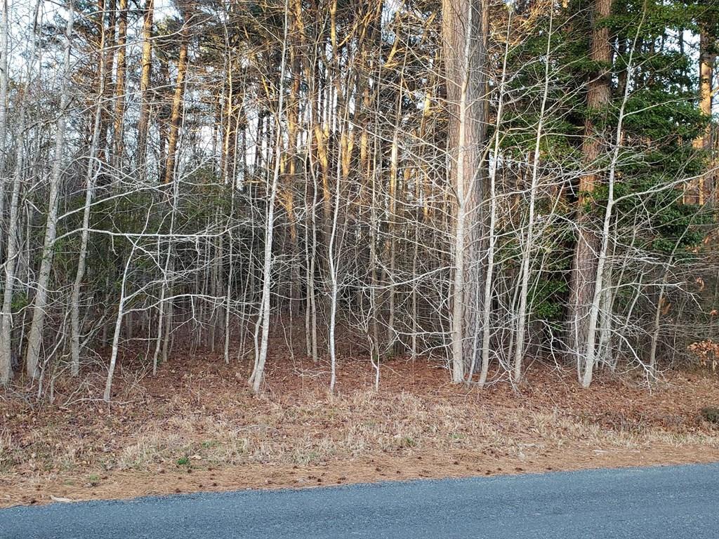 Lot 1 Country Club Road, Unit 1 Melfa, VA 23410 - Photo 1 of 17