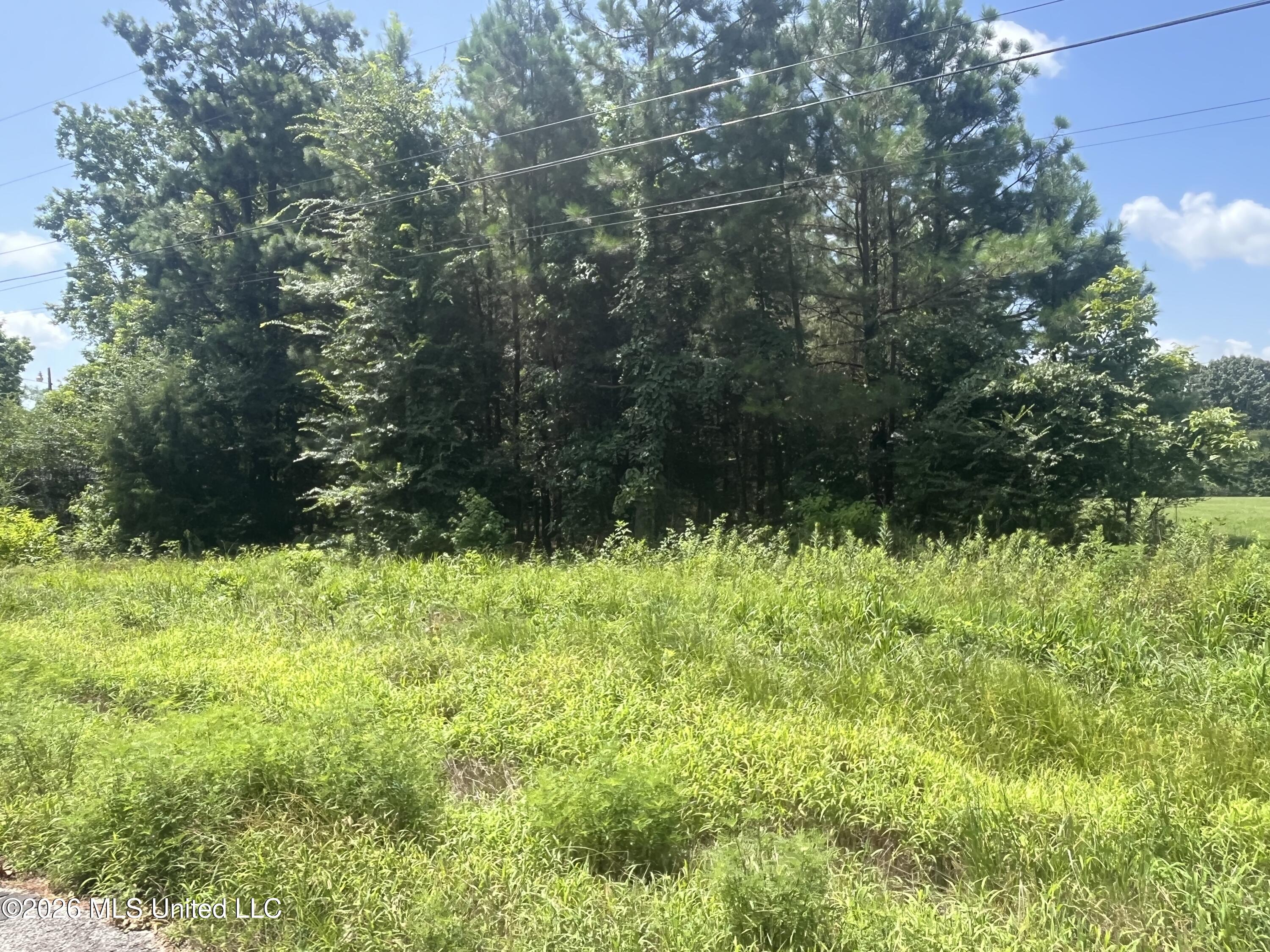 Burton Road Senatobia, MS 38668 - Photo 2 of 7 IMG_2252
